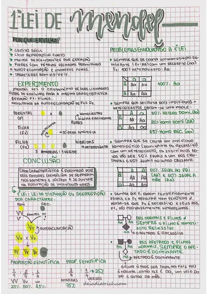 Amostra de resumo 10